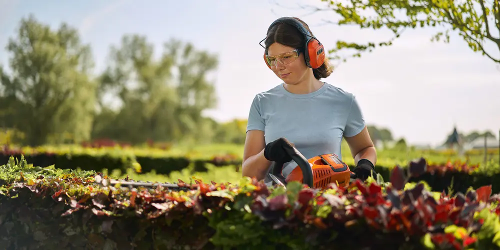 Ontwikkelkalender doorontwikkeling Viridis
