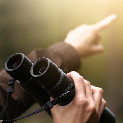 Mogelijkheden samenwerking De Groene Wereld