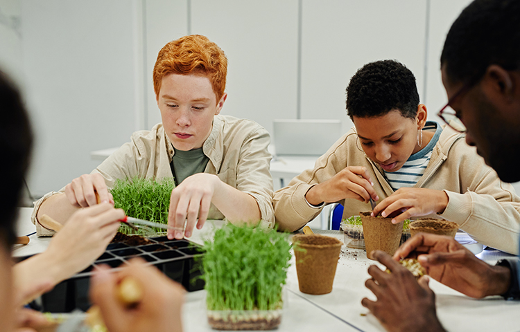 Profiel Groen bovenbouw