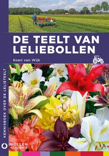 De teelt van Leliebollen