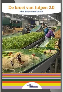 Broei van tulpen 2.0 - digitaal