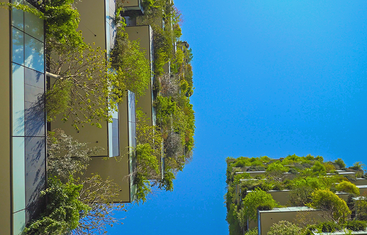 Groene ruimte - viridis