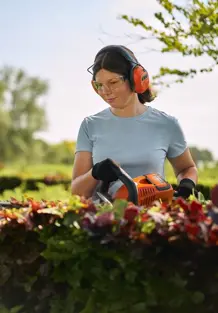 Viridis | Docentenpakket Groene ruimte